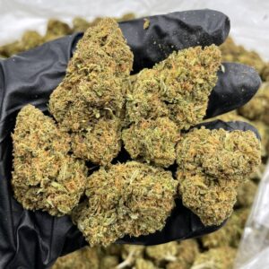 Green Crack lows